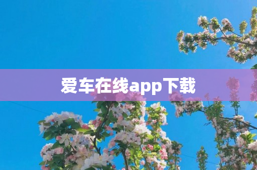 爱车在线app下载