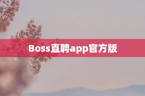 Boss直聘app官方版