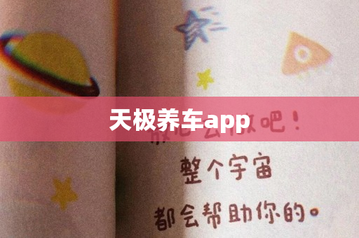 天极养车app