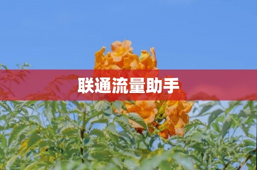 联通流量助手