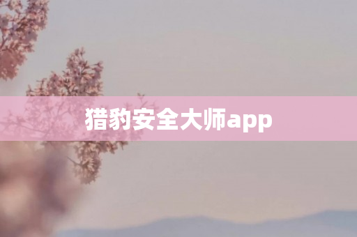 猎豹安全大师app