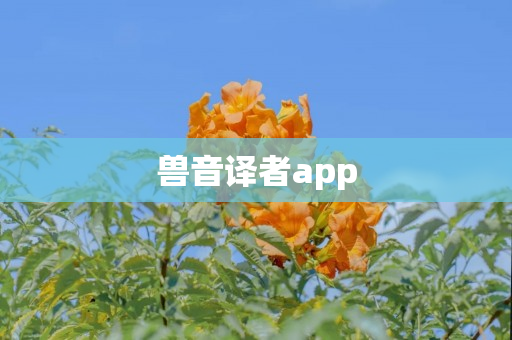 兽音译者app