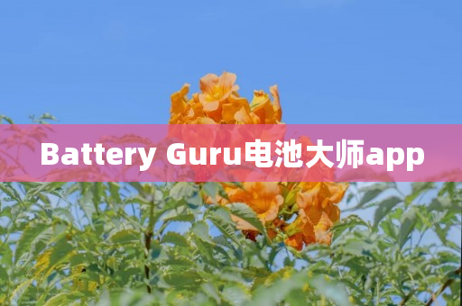 Battery Guru电池大师app