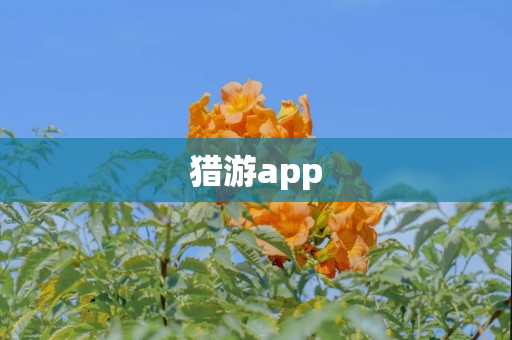 猎游app