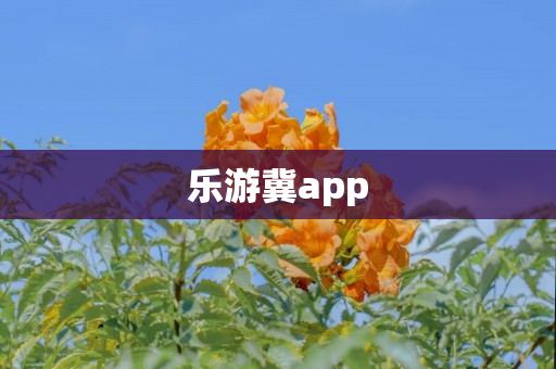 乐游冀app