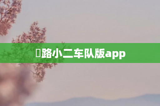 ​路小二车队版app