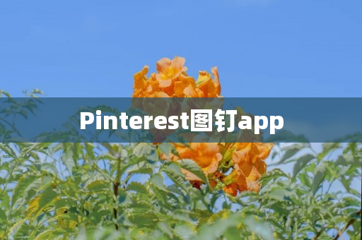 Pinterest图钉app