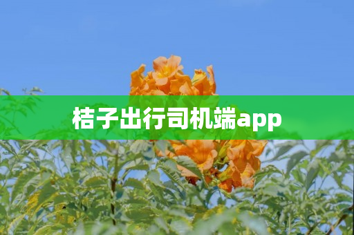 桔子出行司机端app