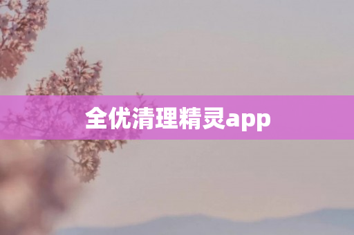 全优清理精灵app