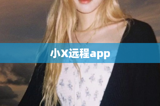 小X远程app