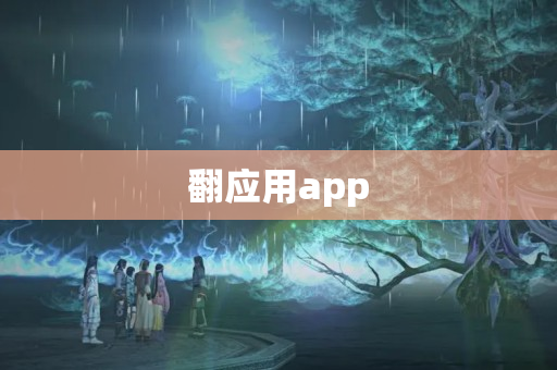 翻应用app