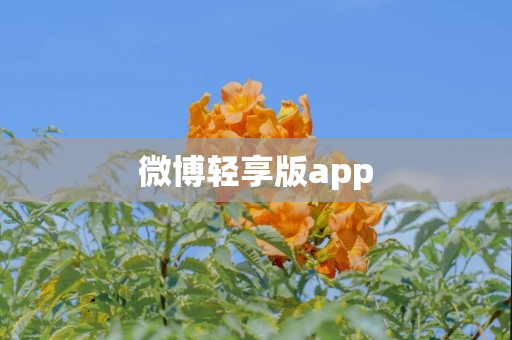 微博轻享版app