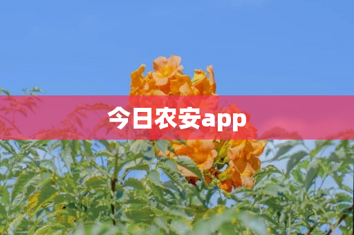 今日农安app