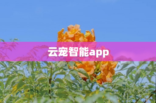 云宠智能app