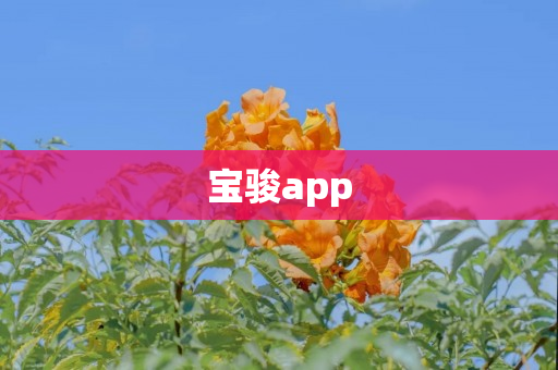 宝骏app