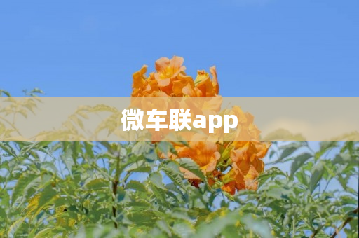 微车联app