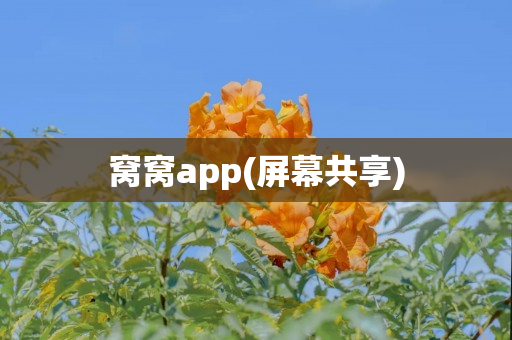 窝窝app(屏幕共享)