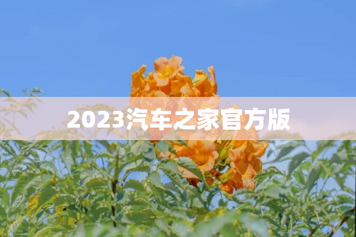 2023汽车之家官方版