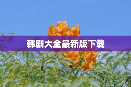 韩剧大全最新版下载