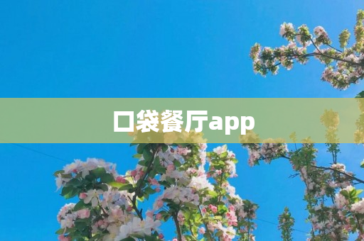 口袋餐厅app