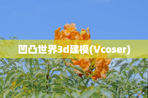 凹凸世界3d建模(Vcoser)