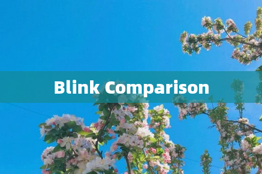 Blink Comparison