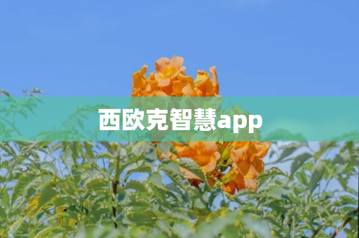 西欧克智慧app