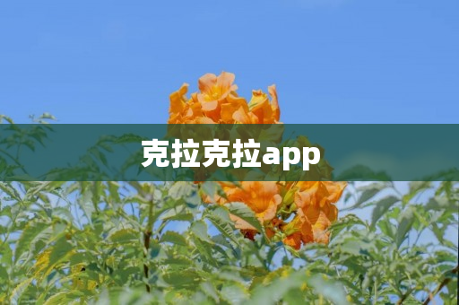 克拉克拉app