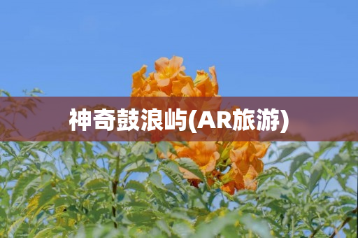 神奇鼓浪屿(AR旅游)