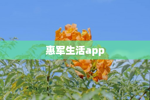 惠军生活app