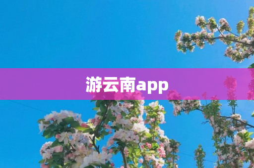 游云南app