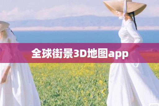 全球街景3D地图app