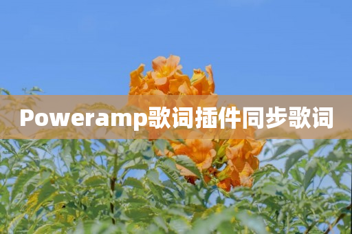 Poweramp歌词插件同步歌词