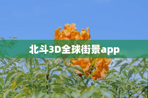 北斗3D全球街景app