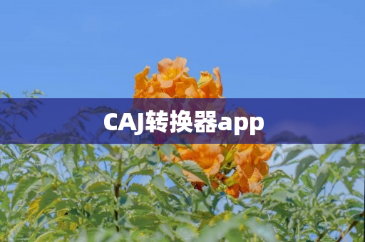 CAJ转换器app