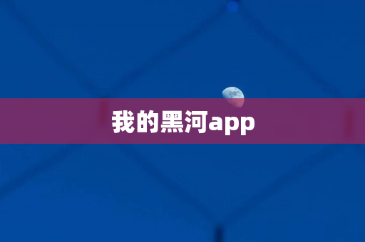 我的黑河app