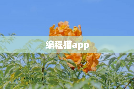 编程猫app