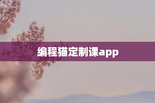 编程猫定制课app