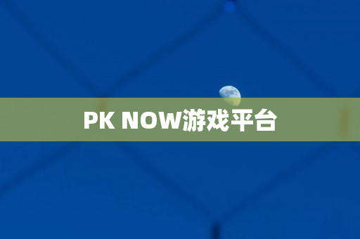 PK NOW游戏平台