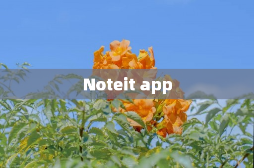 Noteit app