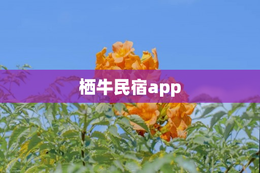 栖牛民宿app