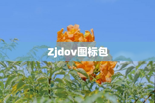 Zjdov图标包