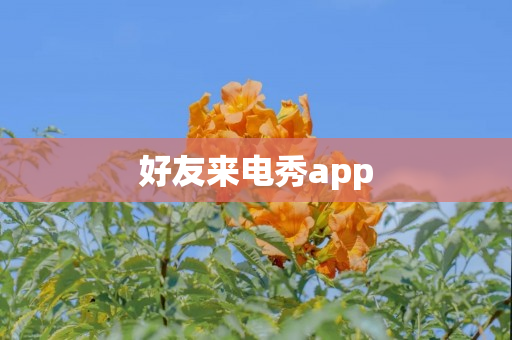 好友来电秀app