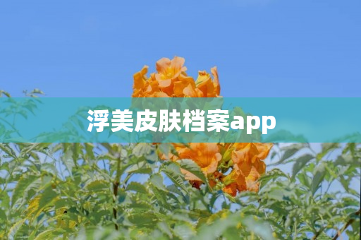 浮美皮肤档案app