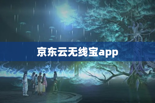 京东云无线宝app