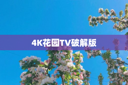 4K花园TV破解版