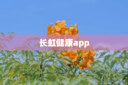 长虹健康app