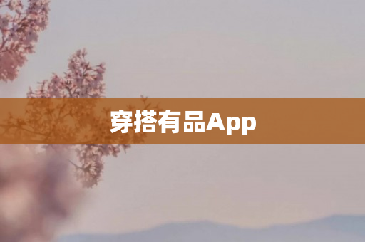 穿搭有品App