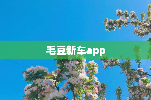 毛豆新车app