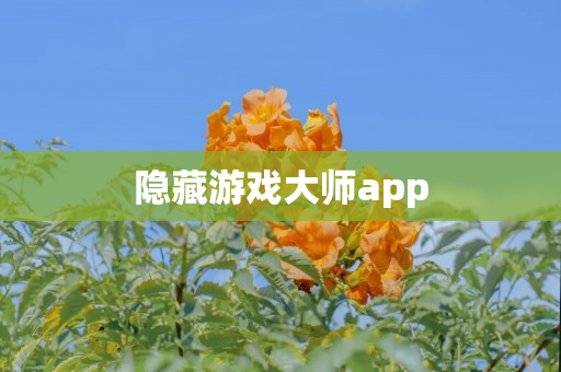 隐藏游戏大师app